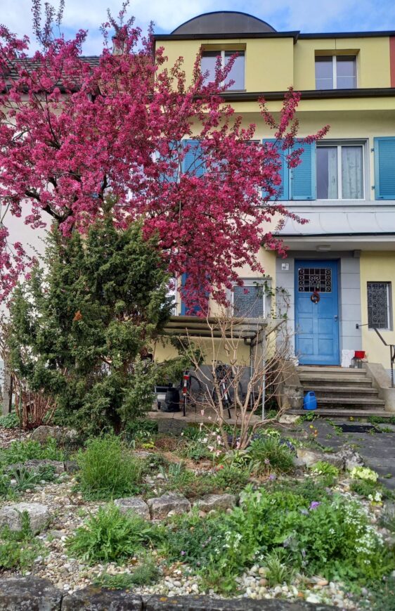 {{brizy_dc_image_alt imageSrc=